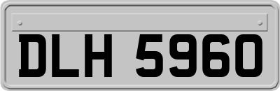 DLH5960