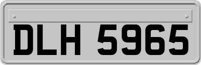 DLH5965