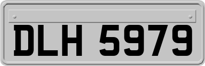 DLH5979