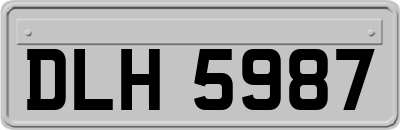 DLH5987
