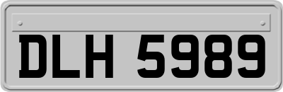DLH5989