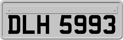 DLH5993