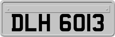 DLH6013