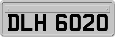 DLH6020