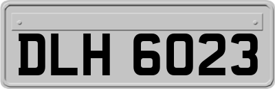DLH6023