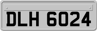 DLH6024