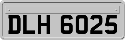 DLH6025