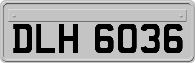 DLH6036