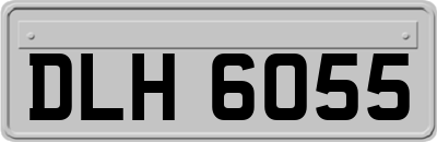 DLH6055