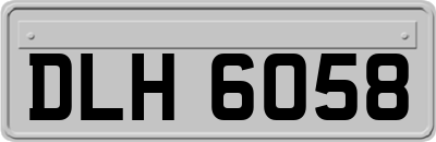 DLH6058