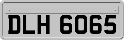 DLH6065