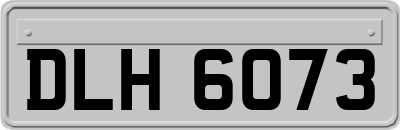 DLH6073