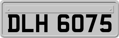 DLH6075