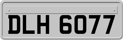 DLH6077