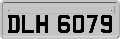 DLH6079