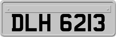 DLH6213