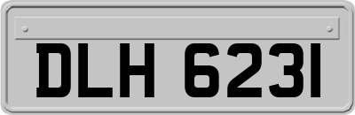 DLH6231