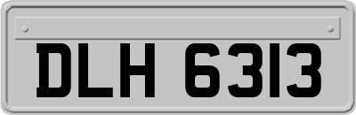 DLH6313