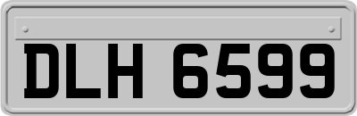 DLH6599