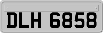 DLH6858