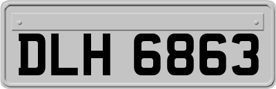 DLH6863