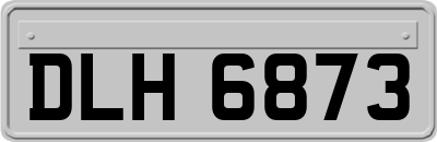 DLH6873