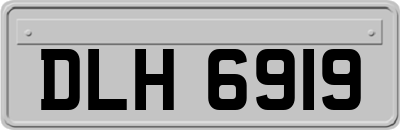 DLH6919