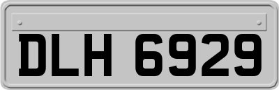 DLH6929