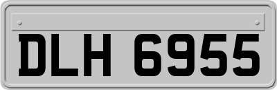 DLH6955