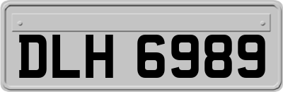 DLH6989