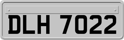 DLH7022