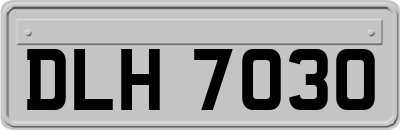 DLH7030