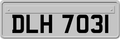 DLH7031