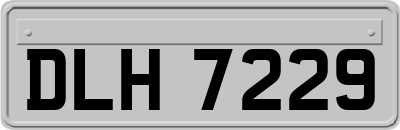 DLH7229