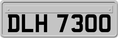 DLH7300