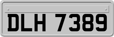 DLH7389