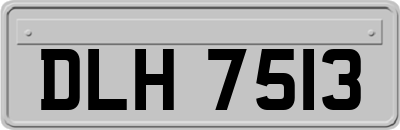 DLH7513