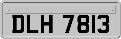 DLH7813