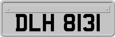 DLH8131