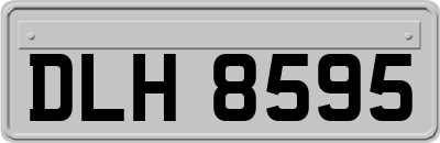 DLH8595