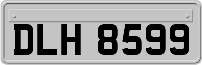 DLH8599