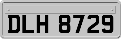 DLH8729