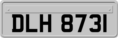 DLH8731