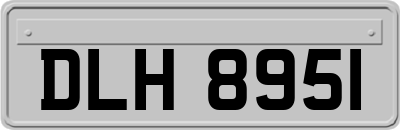 DLH8951
