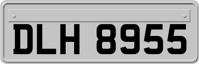 DLH8955
