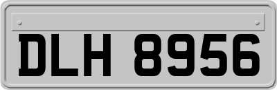 DLH8956