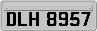 DLH8957