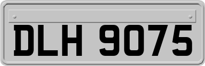 DLH9075