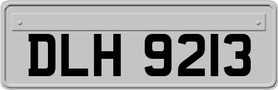 DLH9213