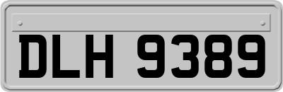 DLH9389